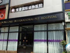 -宠爱国际动物医院· 猫科· 外科·中兽医(长白店)