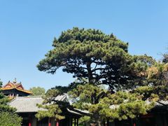 -北陵公园