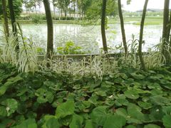 -中国天府农业博览园