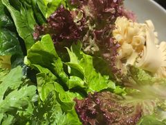 -手选潮汕鲜牛肉火锅(二七广场店)