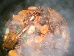 -挂雪铁锅炖大鹅