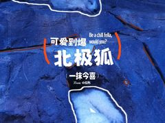 -正佳极地海洋世界