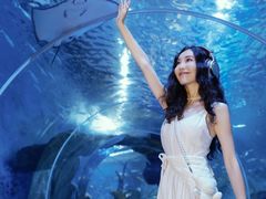 -多彩贵州城极地海洋世界