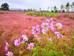 -汉长安城未央宫国家考古遗址公园