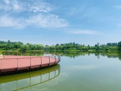 -东郊湿地公园