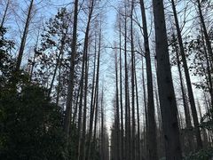 -上海怡沁园度假酒店