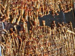 -清真·馬坡二旦烧烤(人生一串拍摄店)