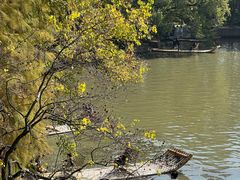 -东湖落雁景区