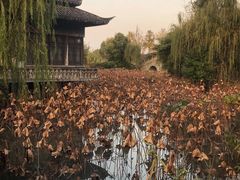 -韩湘水博园