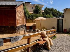 -HERRE·FARM 赫尔露营农场·团建聚会包场