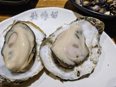 -烧蠔帮·生蚝海鲜牌档(观海店)
