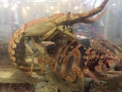 -巽寮印象美食部落餐厅·海鲜·地方特色菜(惠州体验店)