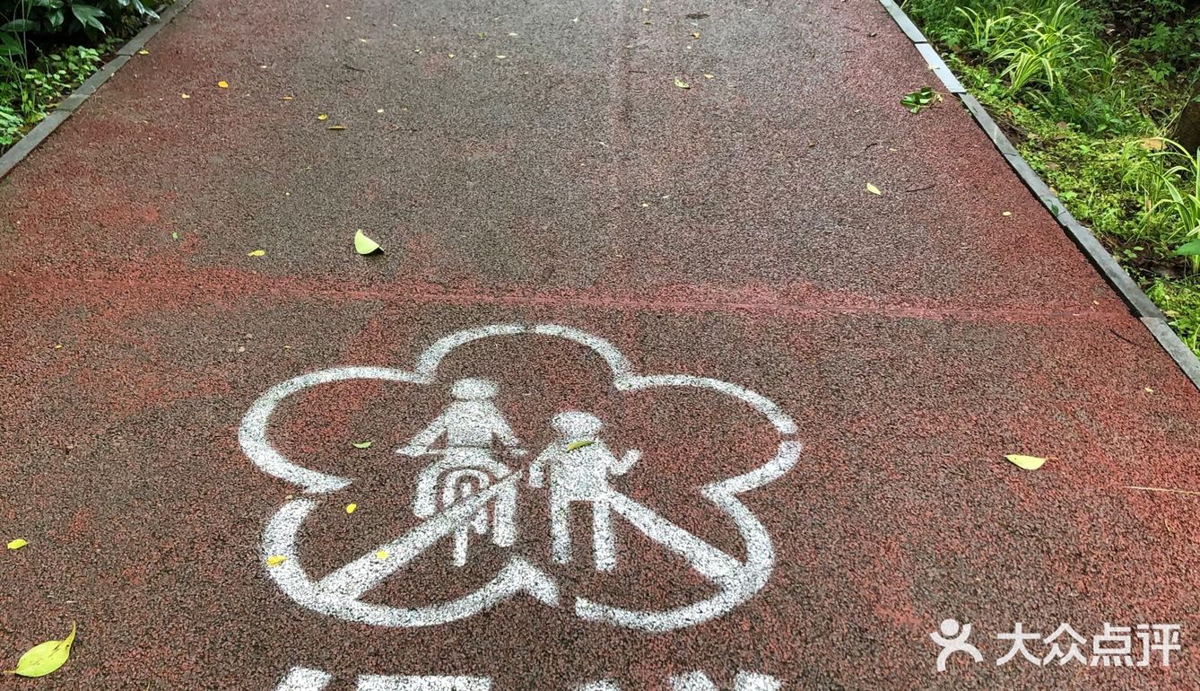 南京人很有福这个城市，有山有水