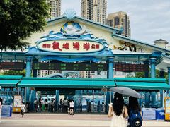 -海合安成都极地海洋公园