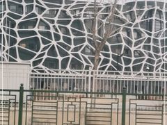 -首都医科大学附属北京天坛医院
