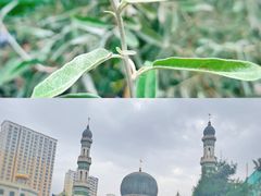 -西宁市东关清真大寺