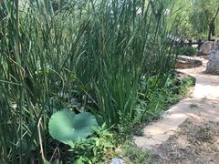 -滨河世纪广场公园