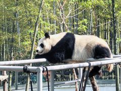 -天目湖御水温泉·度假酒店