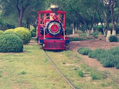 -永定河休闲森林公园