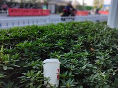 -代数学家algebraist(东吴龙湖天街店)