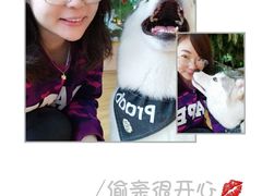 -Husky Go! 哈士奇体验馆·宠物咖啡厅狗咖