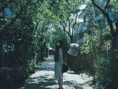 -田园东方蜜桃村的田野营地
