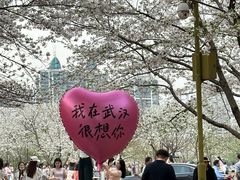 -西北湖绿化广场