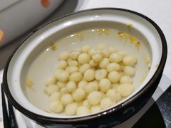 桂花鸡头米-江南雅厨(李公堤店)