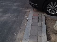 -红山国家森林公园