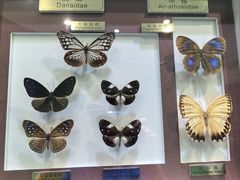 -上海昆虫博物馆