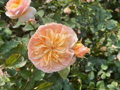 -人民公园(罗湖区)