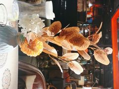 -杂咖zacup(领展中心城店)