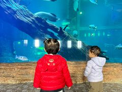 -华夏文旅海洋公园