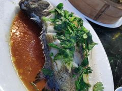 -哈味食店(外伶仃岛店)