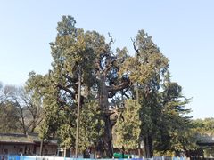 -黄帝陵