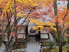 -常寂光寺