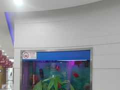-雅悦齿科(顾村公园店)