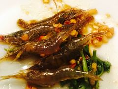 邛海醉虾-阿斯牛牛·凉山菜(新会展店)