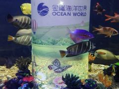-常州海昌海洋探索馆