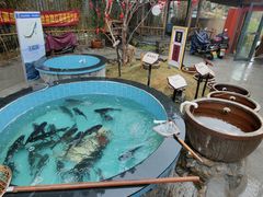 -院里寻菜·精致庭院菜(观沙岭店)