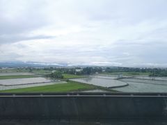 -文府路口(Taiwan High Speed Rail Zuoying Station)