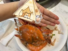-半岛听涛蒸汽海鲜自助(K11店)