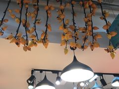 -双季花艺园艺市场(浦东店)