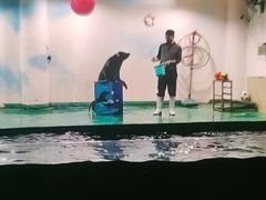 -嘉兴海底世界