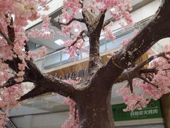 -友谊新天地广场(金街店)