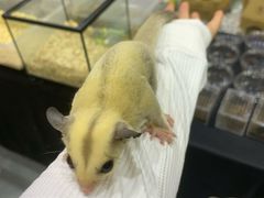 -宁波国际会展中心