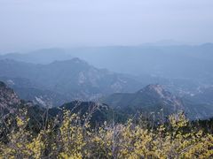 -泰山风景名胜区