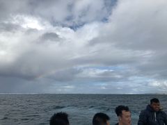-塞尔夫岛