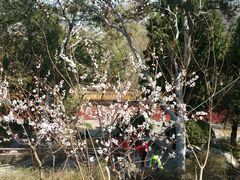 景点-景山公园