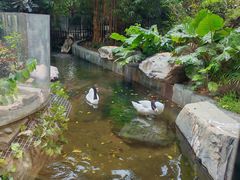 -熊猫自助餐厅.萌趣城堡(长隆熊猫酒店)